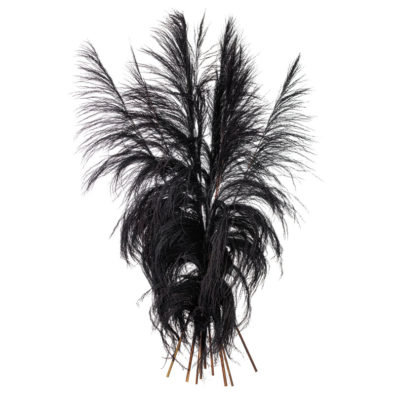 Lei palmier 60-72 po Uva, Noir