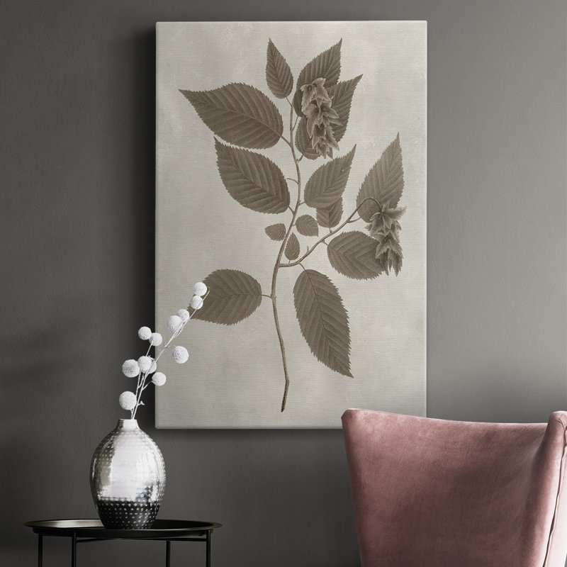 Arbor Speciment II - impression sur toile tendue, H 18 po x l 12 po x P 1 po
