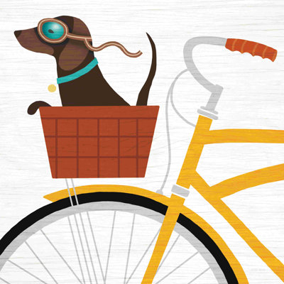 Beach Bums Dachshund Vélo I