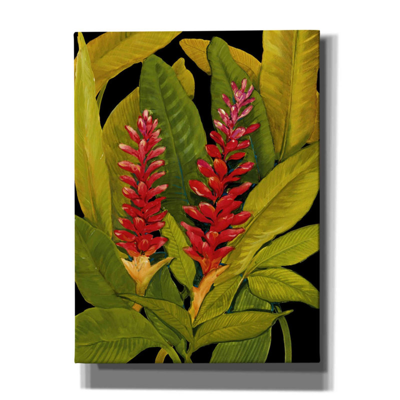 «Dramatic Red Ginger» par Tim O'toole, art mural sur toile, H 54 po x l 40 po x P 1,5 po