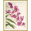 Jewel Blooms 4 Print-1450942711