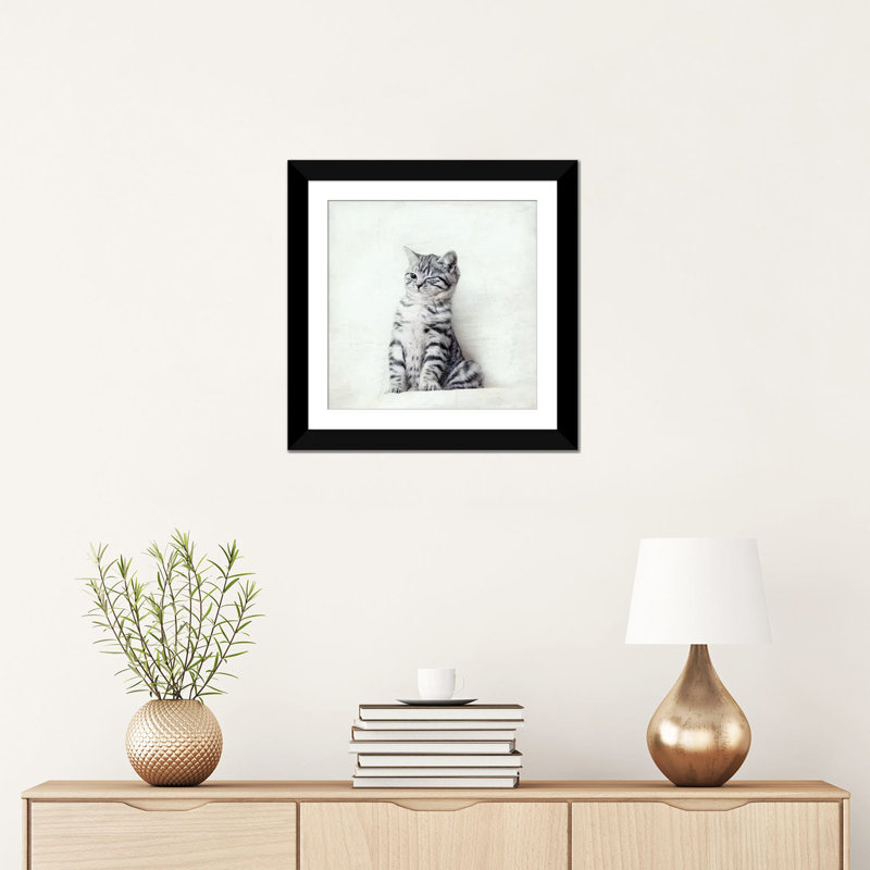 Art sur toile clin d’œil chat, Papier d'art encadré noir, Blanc, H 24 po x l 24 po x P 1 po