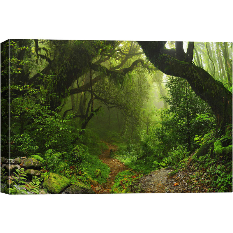 Nature Landscape " Deep Green Forest ", 32'' H x 48'' W