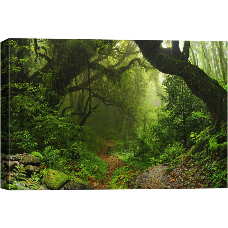 Paysage naturel «Deep Green Forest» sur, H 16 po x l 24 po