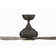 Doren 52'' Ceiling Fan with LED Lights