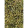 Tapis vert Brule