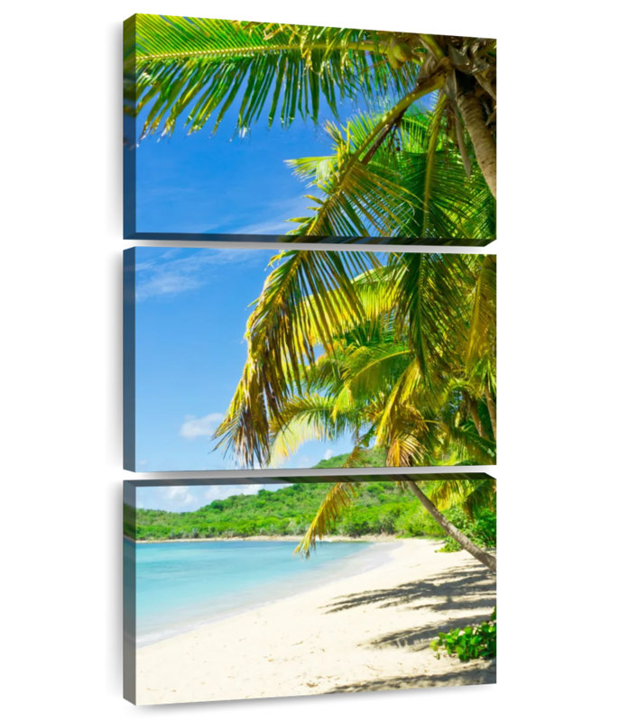Palmiers Tortola, H 38 po x l 18 po