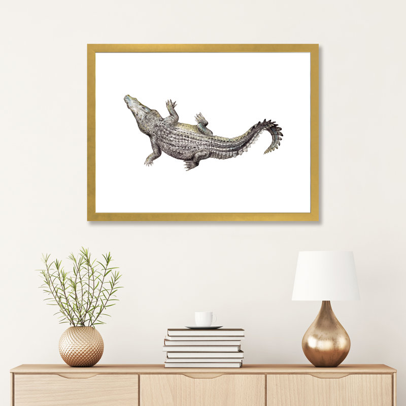 Croc par Wandering Laur - impression d'art graphique, Blanc, H 24 po x l 32 po x P 1 po, Papier encadré doré