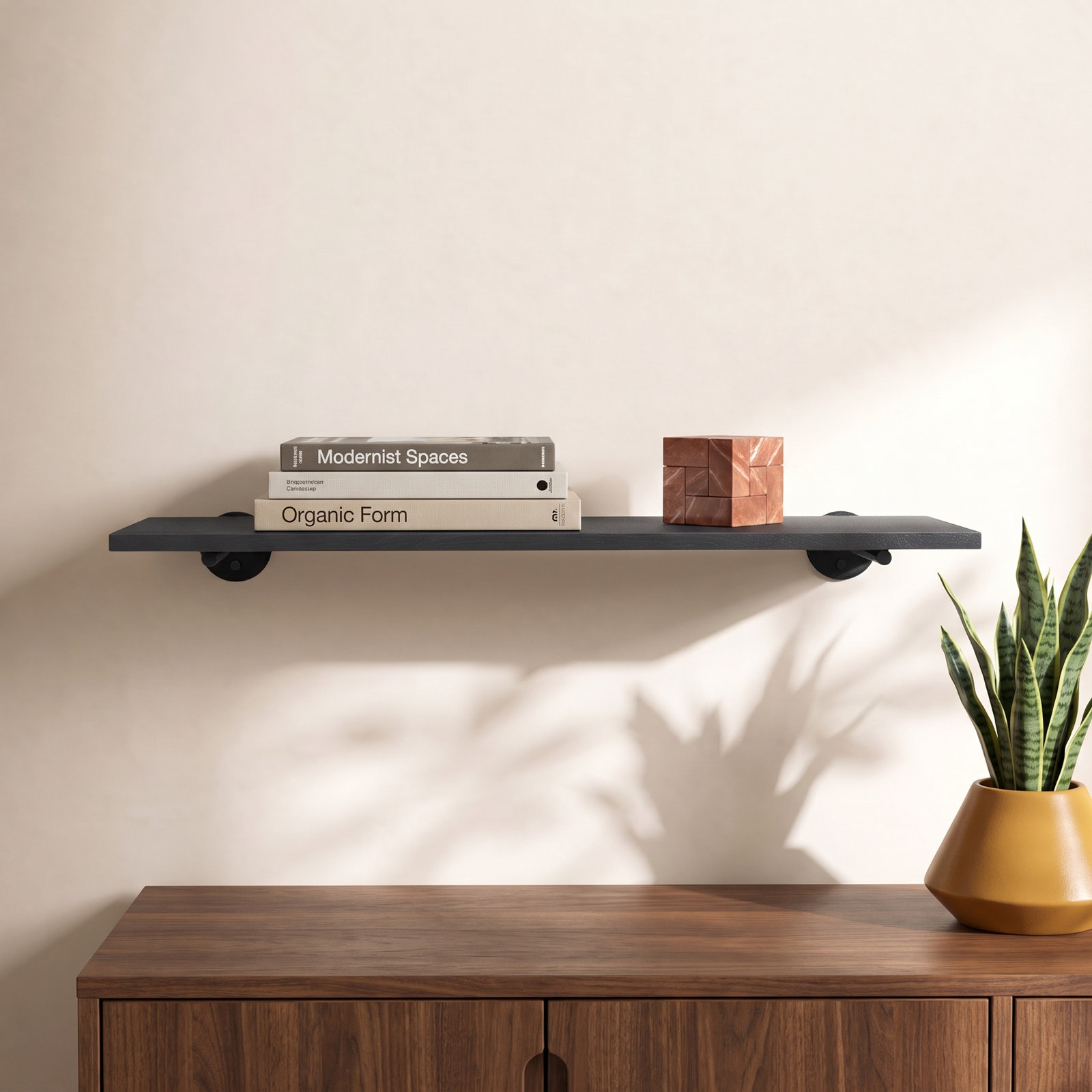 Venice 24" Floating Shelf, Black