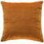Noah Velvet Square Accent Pillow-257995881