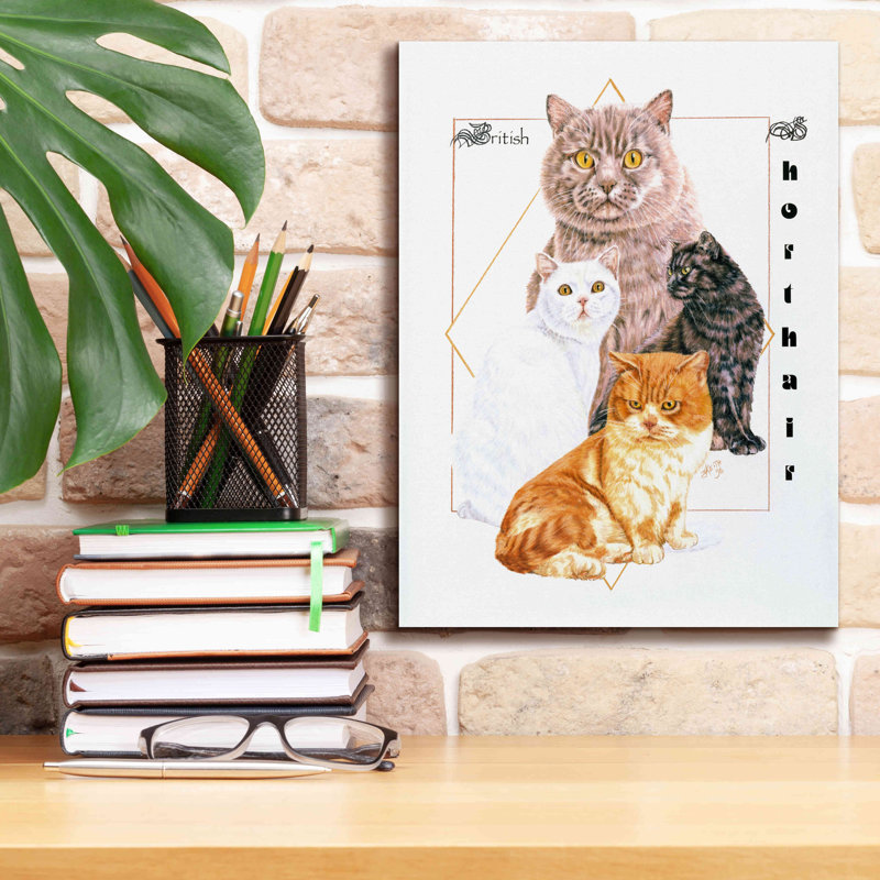 «British Shorthair» par Barbara Keith, art mural sur toile
