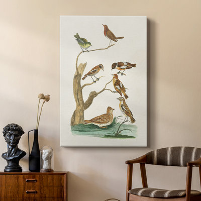 Antique Birds in Nature III -Custom Wrapped Gallery Cavas