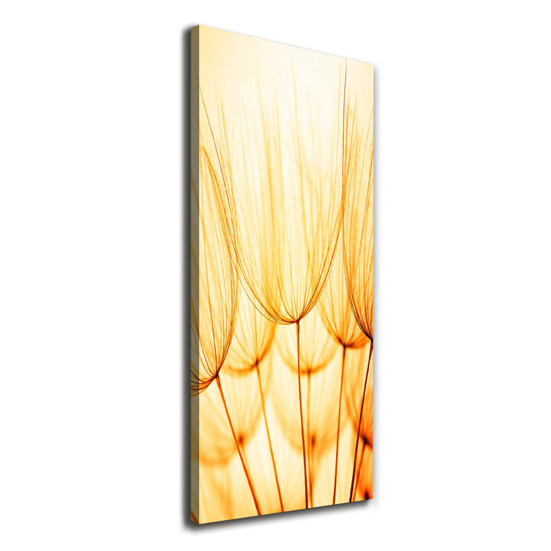 Dandelion Seeds - Wrapped Canvas Print