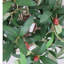 Faux Olive Tree Plant in Pot Liner-1659168147