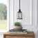 Greyleigh™ Leyden 1 - Light Single Pendant & Reviews | Wayfair