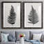 «Forest Fern III», reproduction de cadre photo sur toile 2 pièces-1681076168-1681075765