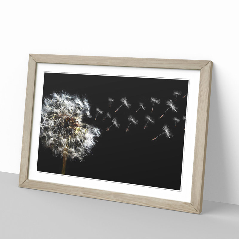 Dandelion Seeds Vol.10 - Picture Frame Graphic Art, 27cm H x 36cm W x 2cm D, Oak Framed