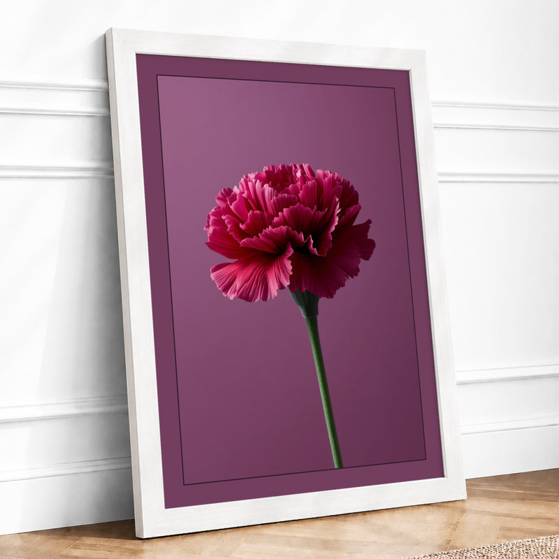 Magenta Carnation Study Botanical - Framed Print, A3 - 42.0 x 29.7 cm, White
