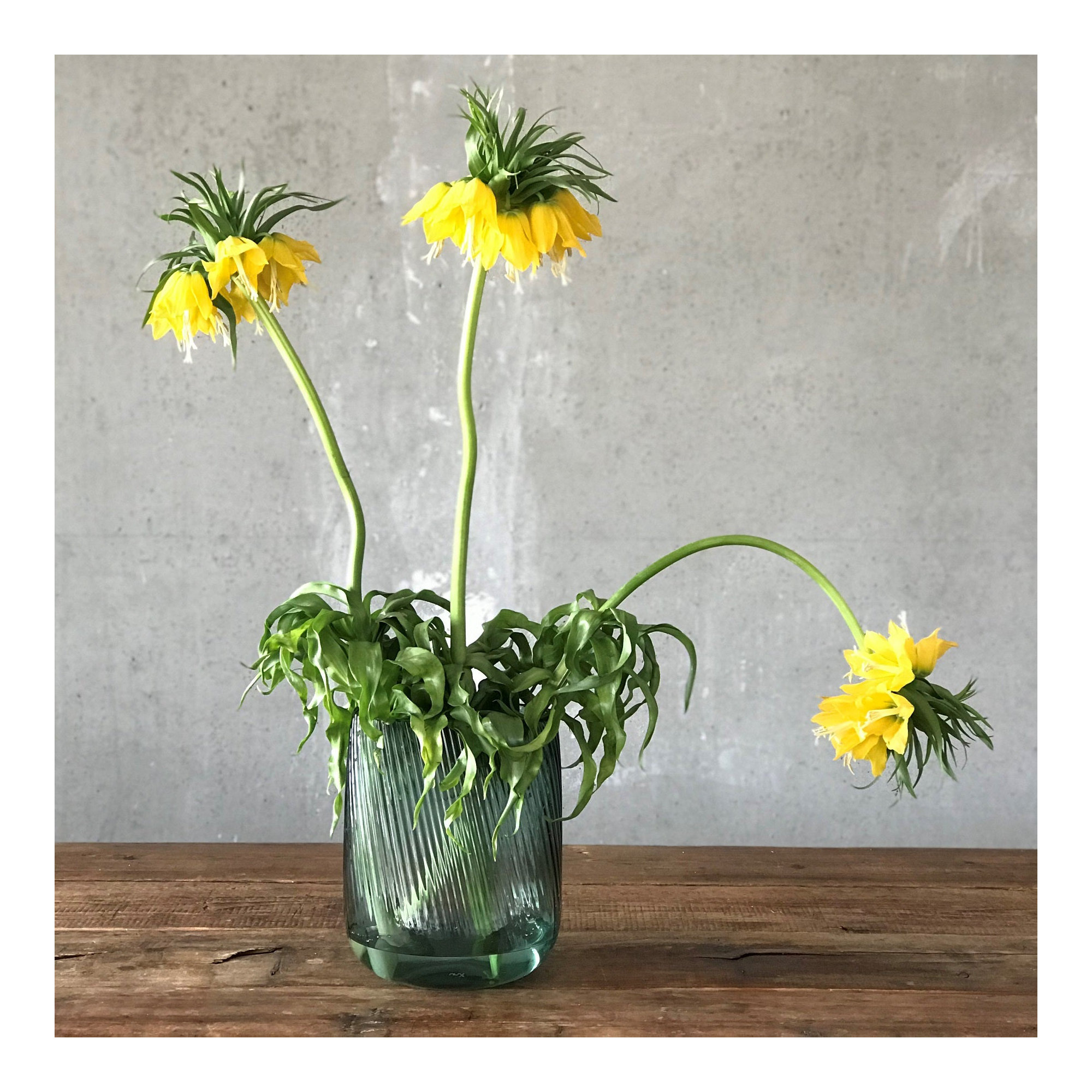 Opti Handmade Lead Free Crystal Table Vase, Green, overall height- 9.55"