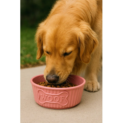 Woof Wheat Straw Ribbed Pet Bowl