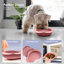 P.t. Petit bol pour animal de compagnie en forme de fleur avec base d'aspiration antidérapante Fournir Co.-108403957-108403960