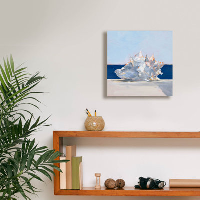  «Shell By The Shore 1» par Ethan Harper, art mural sur toile, 12 po x 12 po
