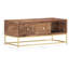 Nereus Frame Coffee Table with Storage