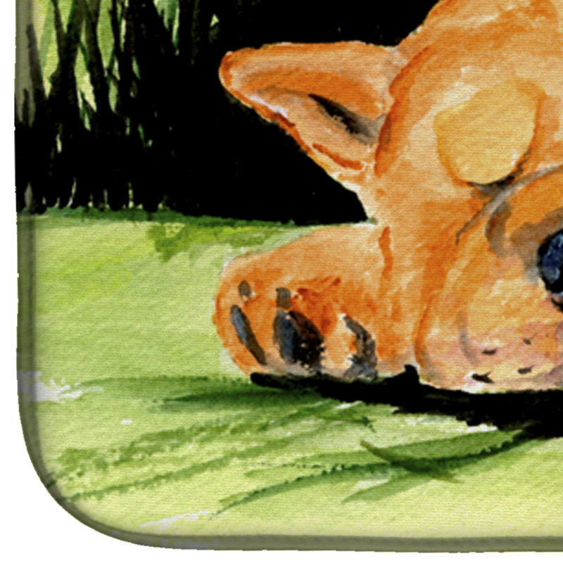 Tapis de séchage chow chow