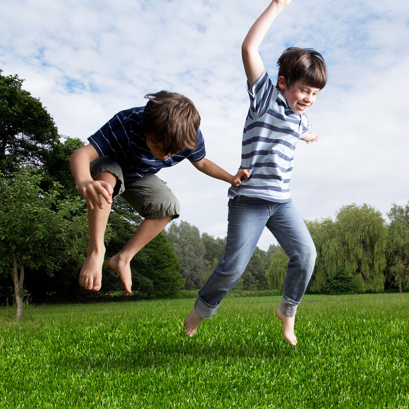 Realistic Grass Deluxe Synthetic Turf, 1.38" H x 72" W x 480" D