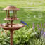 Bain d'oiseaux-129909293