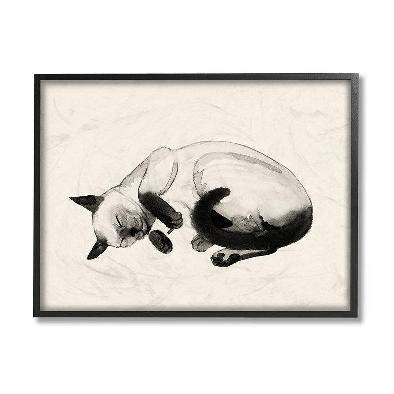 AC-502 Siamese Cat NAP minimum pour animal de compagnie par Grace Popp-impression, H 16 po x l 20 po x 1,5 po