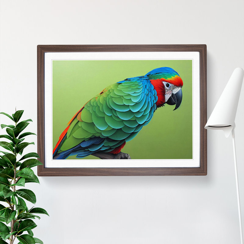Colourful Parrot Vol.1 - Single Picture Frame Painting, Walnut Framed, 34cm H x 46cm W x 2cm D