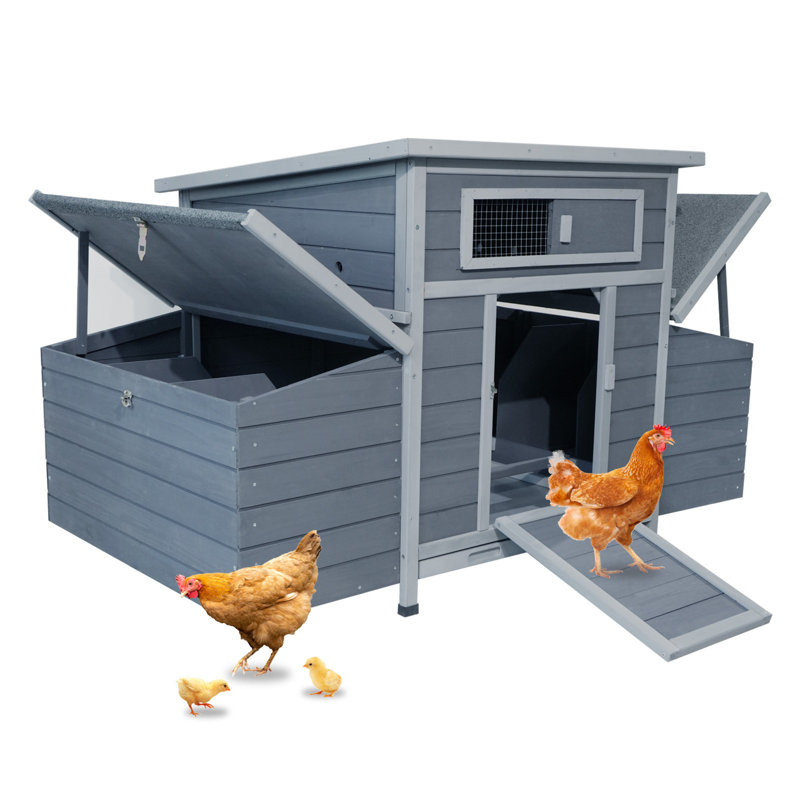 Grand poulailler en bois avec nichoirs, Bleu, H 32,87 po x l 33,07 po x P 55 po