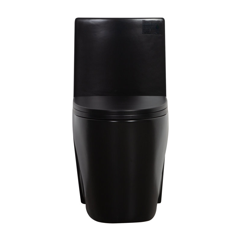Toilette monobloc allongée à double chasse d'eau 1,1/1,6 gal/min, noir mat, hauteur confort ADA de 17 po, Noir mat
