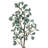 Eucalyptus Arrangement