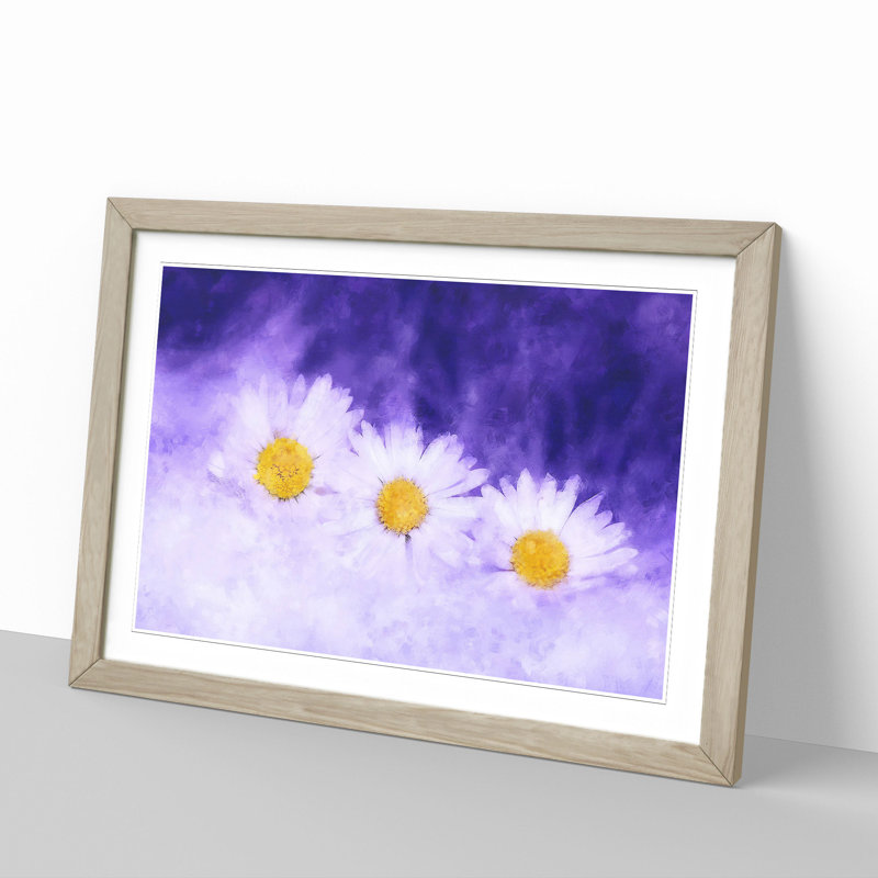 Three White Daisies - Picture Frame Graphic Art, Oak, 27cm H x 36cm W x 2cm D