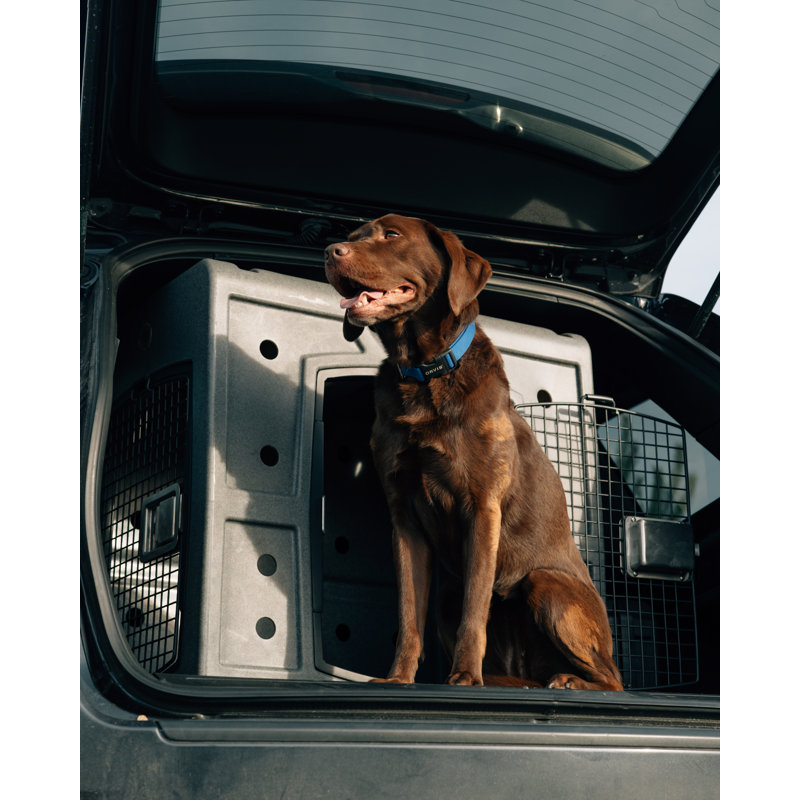 Plastic Vehicle Travel Carrier with 1 Door