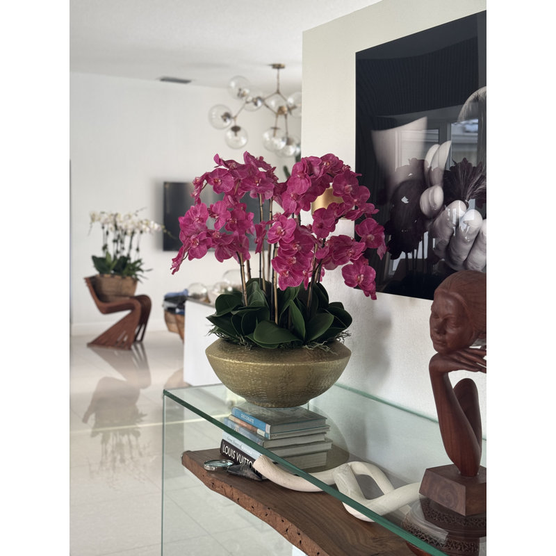Bol Blaze avec orchidées phalaenopsis, Rose