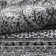 Kellen Machine Woven Grey Indoor Rug