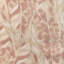 Caspia-296499625