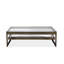 Ziggi Glass Coffee Table