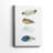 Feather Collection -Gallery Wrapped Cavas-2037698349