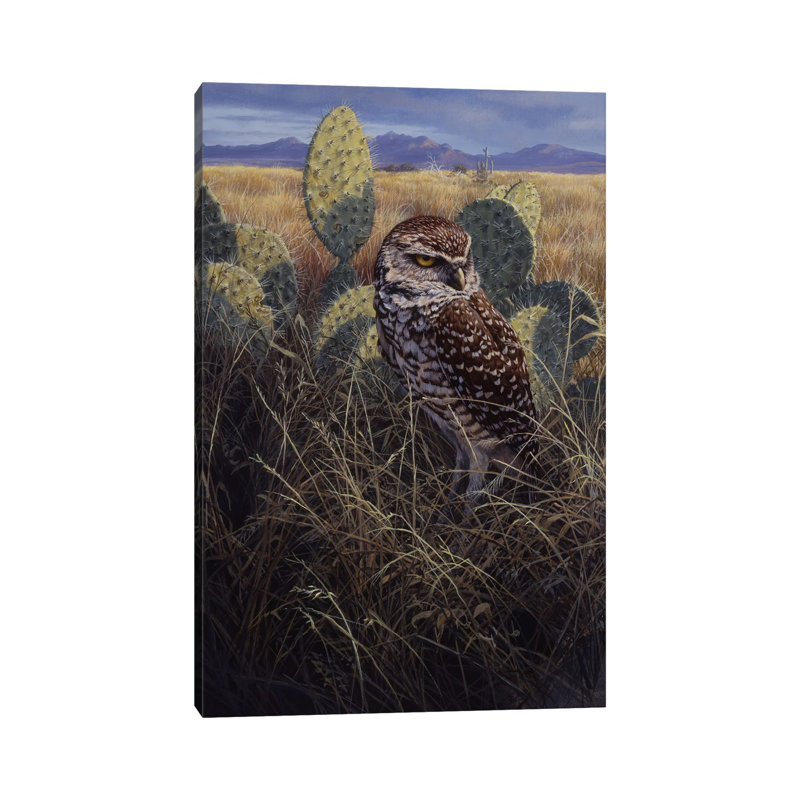 Burrowing Owl - impression d'art mural