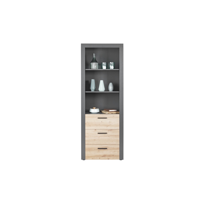 Ceji Bookcase
