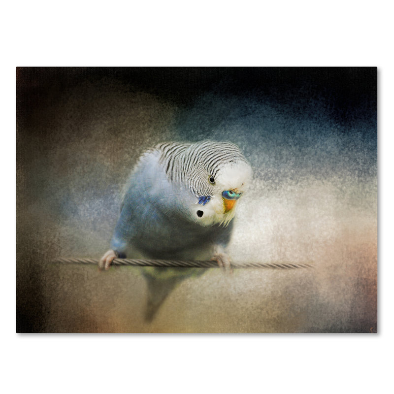 Vidur «Budgie 3», impression sur toile tendue, H 24 po x l 32 po