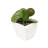 2'' Faux Cactus Succulent in Glass Pot
