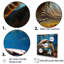 «Curious Underwater Sea Turtle I», reproduction sur toile-1490405280-1524812171