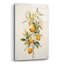 «Botanical Fruit 3» par Petals Prints Design, art mural en verre acrylique-1622863612