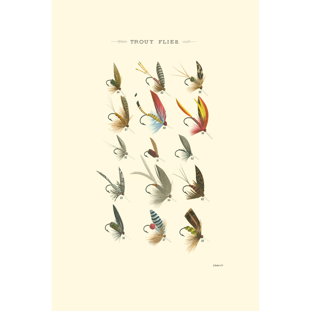 Trout Flies I by Vision Studio - Wrapped Canvas Painting