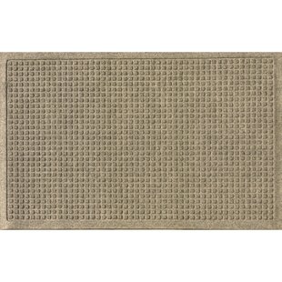 https://assets.wfcdn.com/im/52651701/resize-h310-w310%5Ecompr-r85/1265/126511970/Waterhog+Indoor+Outdoor+Doormat.jpg